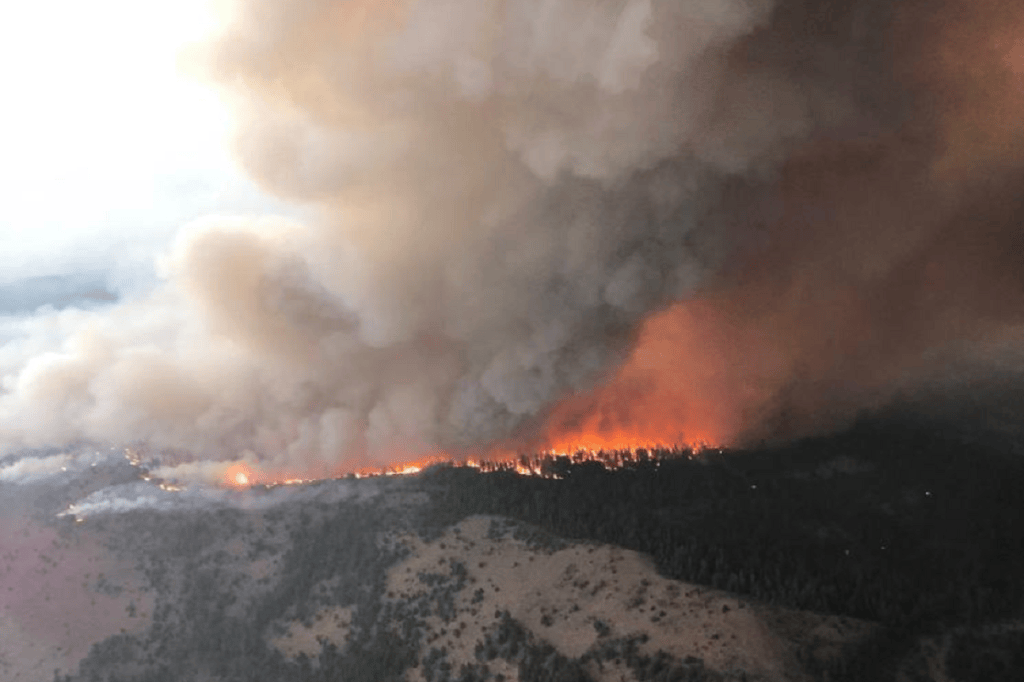 Firefighter Dies While Fighting California’s Dixie&nbsp;Fire
