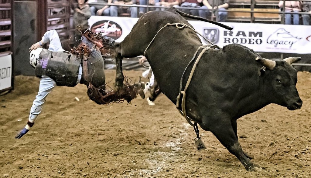 Fear and No&nbsp;Fear