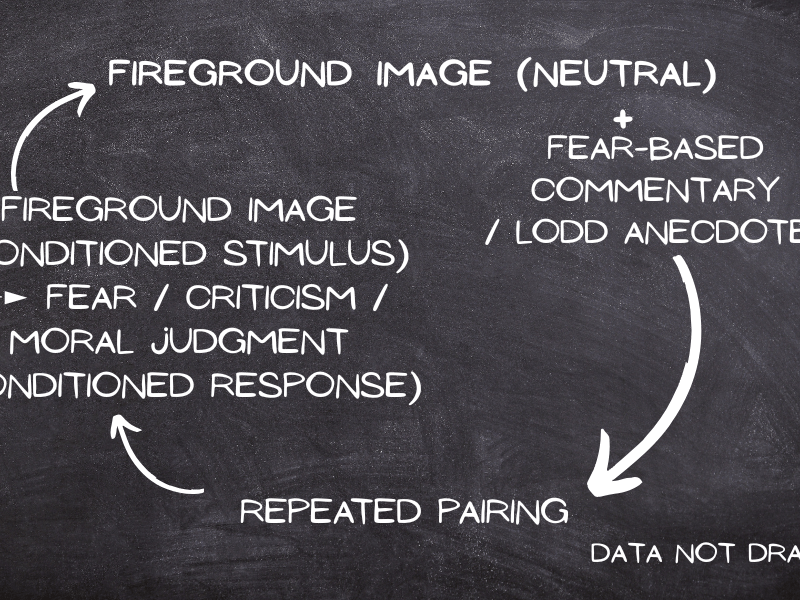 Why One Fire Can Feel Like Every Fire: Fear and LODD&nbsp;Data